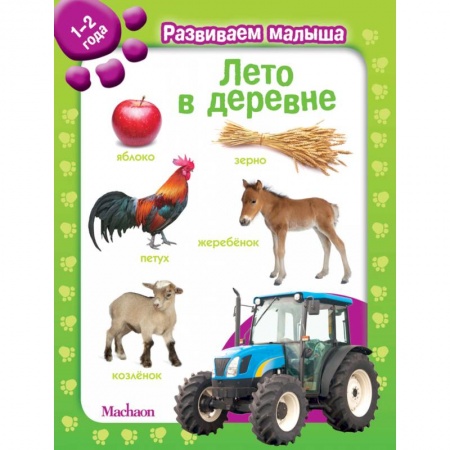 Досуг, творчество и кулинария, книга Лето в деревне. 1-2 года