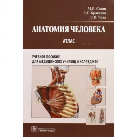 Медико-биологические дисциплины, книга Анатомия человека. Атлас для медицинских училищ и колледжей