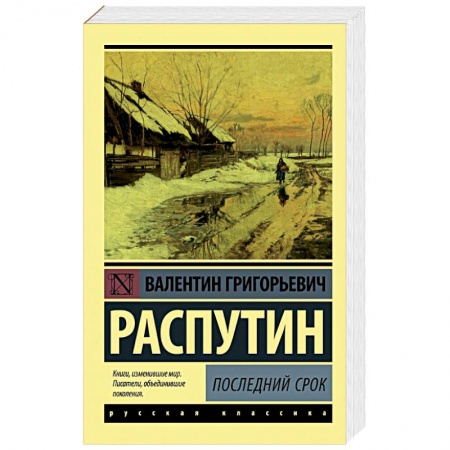 Классика, современная литература, книга Последний срок