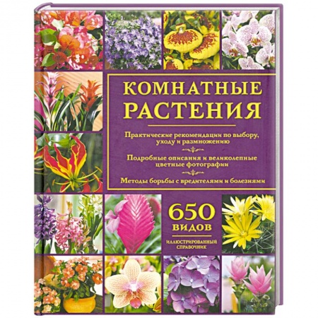 Книги, книга Комнатные растения. Иллюстрированный справочник