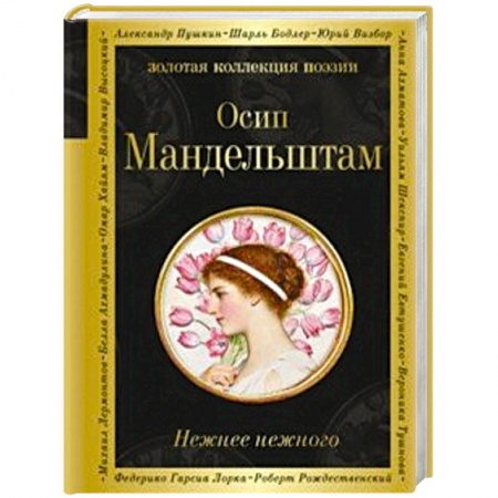 Классика, современная литература, книга Нежнее нежного