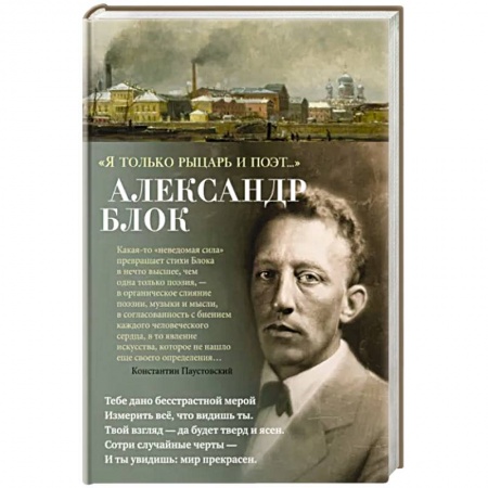 Классика, современная литература, книга Я только рыцарь и поэт...