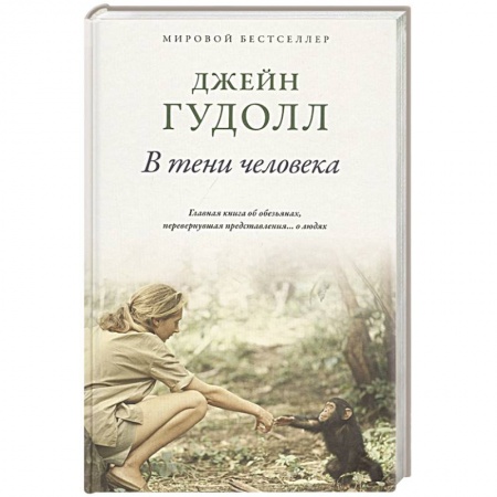 Публицистика, книга В тени человека