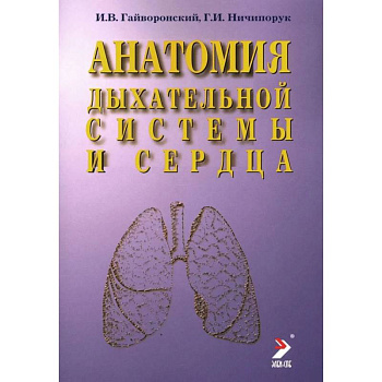 Анатомия дыхательной системы и сердца Анатомия дыхательной системы и сердца
