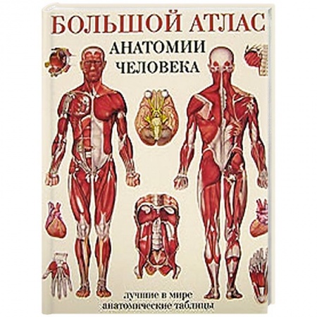 Книги, книга Большой атлас анатомии человека