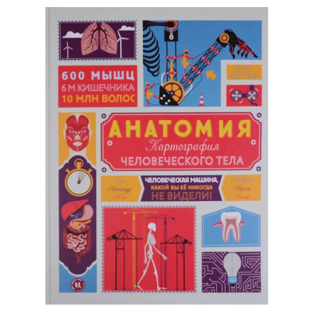 Познавательная литература, книга Анатомия. Картография человеческого тела