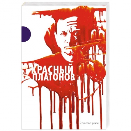 Мемуары, биографии, книга Красный Платонов