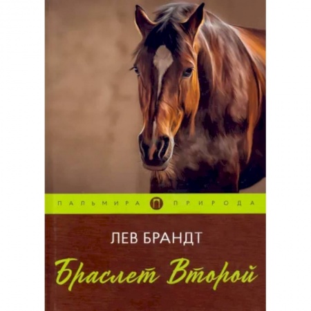 Классика, современная литература, книга Браслет Второй