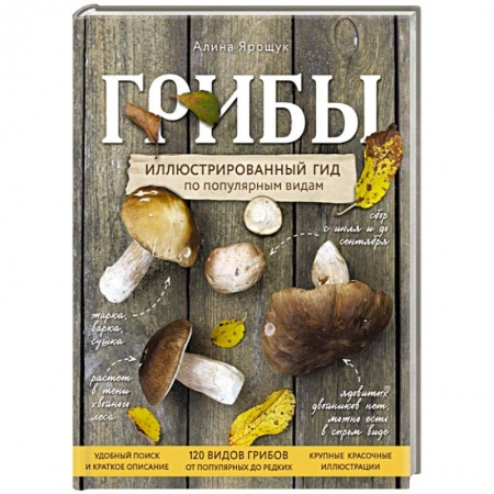 Охота. Рыбалка. Собирательство, книга Грибы. Иллюстрированный гид по популярным видам