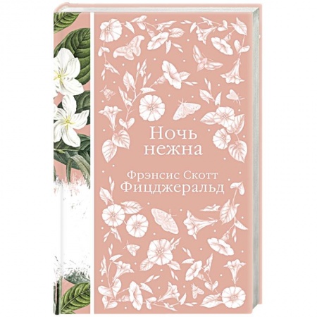 Классика, современная литература, книга Ночь нежна