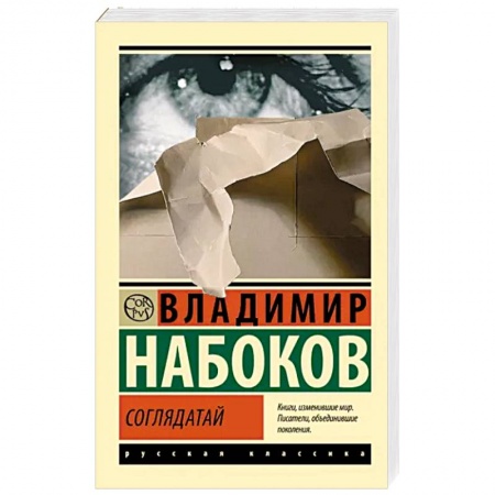 Классика, современная литература, книга Соглядатай