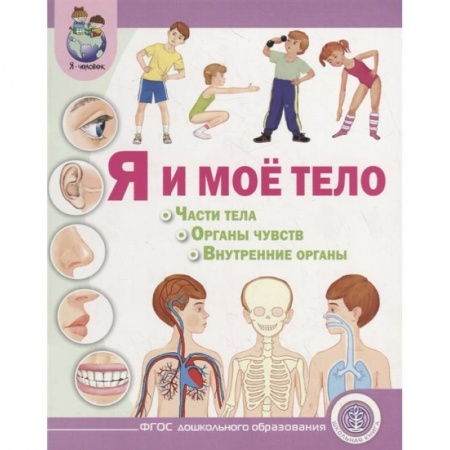 Дошкольникам, книга Я и моё тело. Части тела. Органы чувств. Внутренние органы