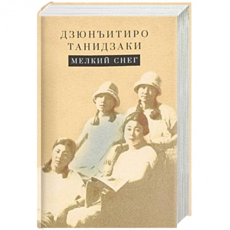 Классика, современная литература, книга Мелкий снег