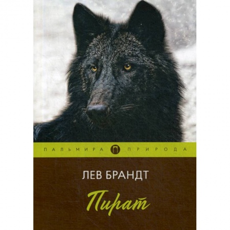 Классика, современная литература, книга Пират