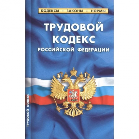 Общественные и гуманитарные науки, книга Трудовой кодекс Российской Федерации (по состоянию на 25 сентября 2022 года)