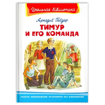 Проза для детей, книга Тимур и его команда