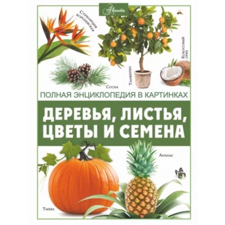 Познавательная литература, книга Деревья, листья, цветы и семена