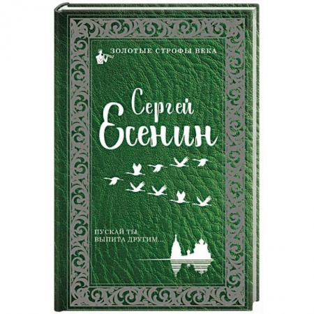 Классика, современная литература, книга Пускай ты выпита другим