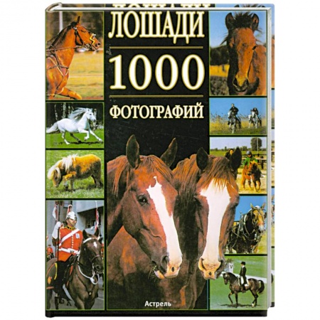 Книги, книга Лошади. 1000 фотографий