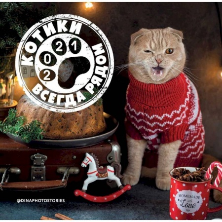 Обустройство дома, квартиры, книга Календарь. Котики всегда рядом