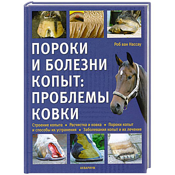 Пороки и болезни