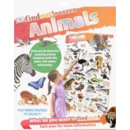 Изучение языков, книга DKfindout! Animals Poster