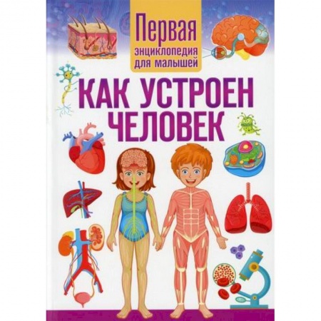 Познавательная литература, книга Как устроен человек