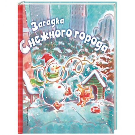 Книги, книга Загадка Снежного города
