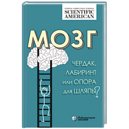 Медико-биологические дисциплины, книга Мозг: чердак, лабиринт или опора для шляпы?