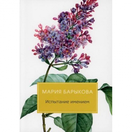 Классика, современная литература, книга Испытание имением