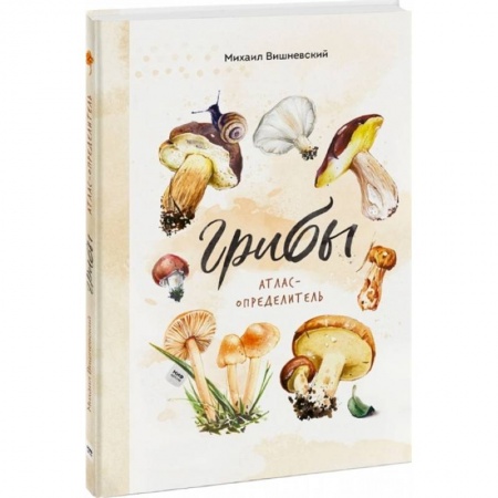 Познавательная литература, книга Грибы. Атлас-определитель