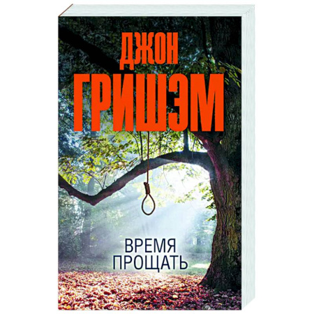 Детективы, триллеры, книга Время прощать