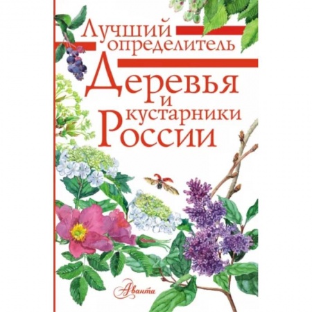 Познавательная литература, книга Деревья и кустарники России. Определитель