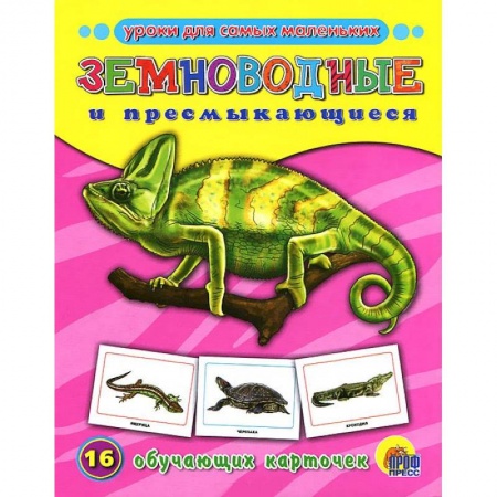 Книги, книга Земноводные и пресмыкающиеся. 16 обучающих карточек