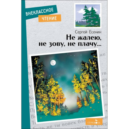 Поэзия для детей, книга Не жалею,не зову,не плачу