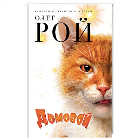 Любовный роман, книга Домовой