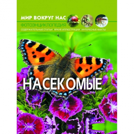 Познавательная литература, книга Мир вокруг нас. Насекомые