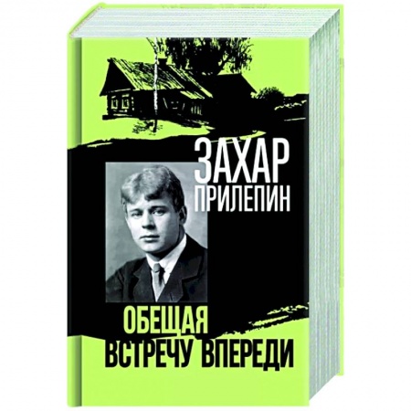 Мемуары, биографии, книга Есенин. Обещая встречу впереди