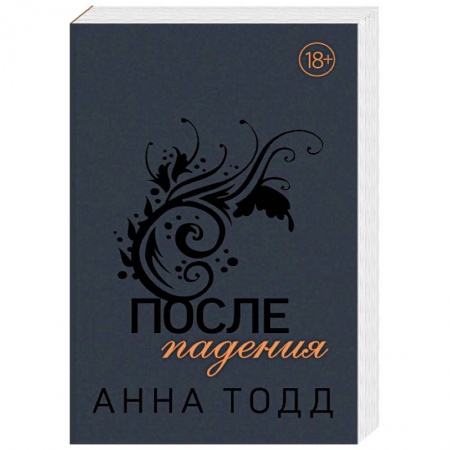 Любовный роман, книга После падения