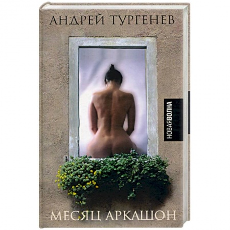 Классика, современная литература, книга Месяц Аркашон