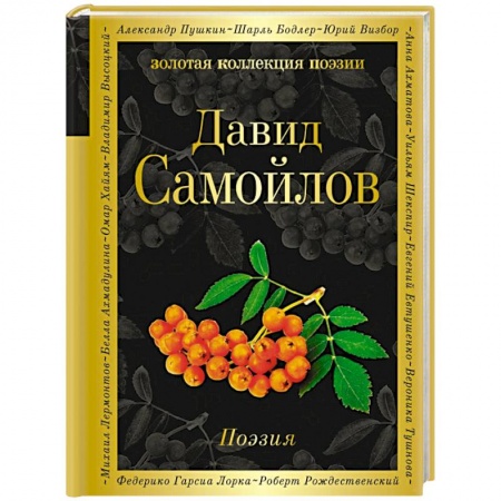 Классика, современная литература, книга Поэзия