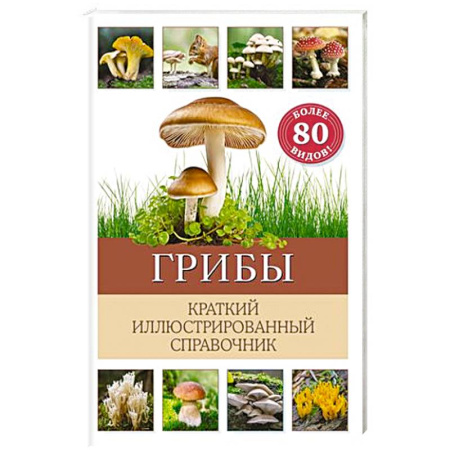 Познавательная литература, книга Грибы. Краткий иллюстрированный справочник