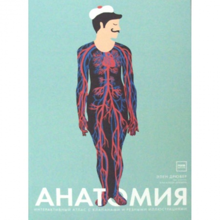 Познавательная литература, книга Анатомия