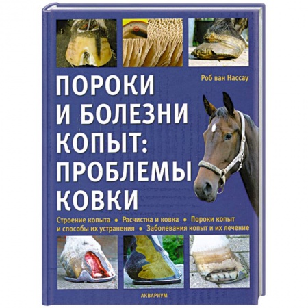 Книги, книга Пороки и болезни