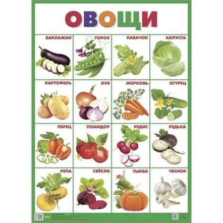 Книги для самых маленьких (0-3 года), книга Плакат. Овощи