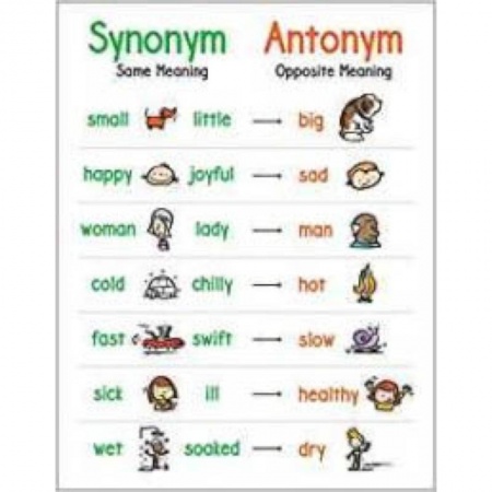 Изучение языков, книга Anchor Chart: Synonym and Antonym