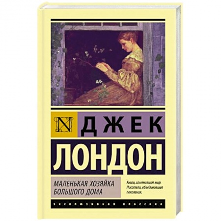 Классика, современная литература, книга Маленькая хозяйка Большого дома