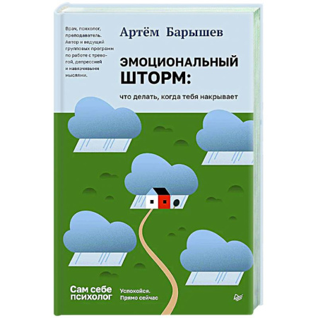 Общественные и гуманитарные науки, книга Эмоциональный шторм: что делать, когда тебя накрывает. Успокойся. Прямо сейчас