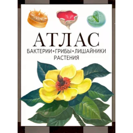Естественные науки, книга Бактерии, грибы, лишайники, растения. Атлас