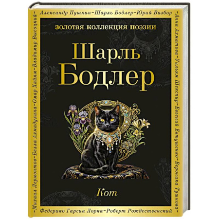 Классика, современная литература, книга Кот